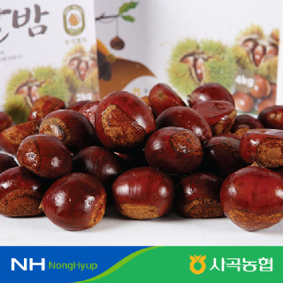 [사곡농협]공주 고맛나루 알밤 2kg(특)