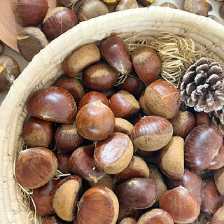 무칼집 공주밤 1kg 대