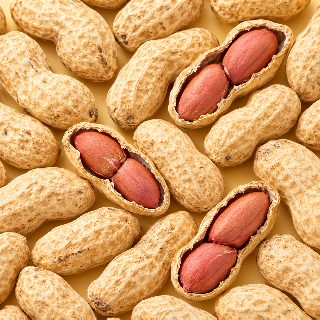 국산 피땅콩 1kg 2kg 3kg