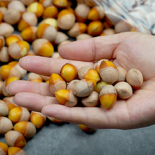 깐은행 1kg(대)x2