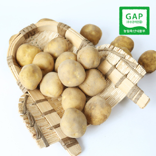 사시사철 맛좋은 우리땅 햇 감자(중) 3kg/5kg/10kg