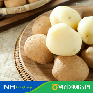 [익산원예농협]포슬포슬 국내산 제철 수미 햇 흙감자 왕특 사이즈