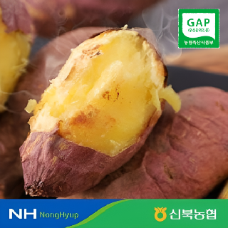 [싱씽배송][농할추가20%]신북농협 GAP 氣영암 황토 세척! 꿀!고구마 3kg/5kg