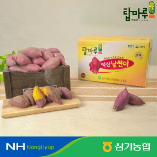 [익산탑마루] 삼기 날씬이 햇고구마 5kg/10kg 꿀고구마