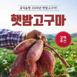 (농할)[공덕농협] 2026년 햇밤고구마 3kg S사이즈(40-100g)