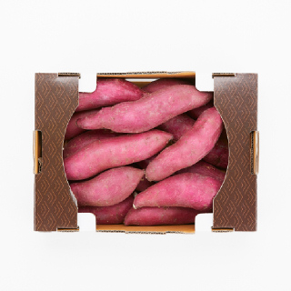 [세종대왕농협] 26년산 꿀 여주햇고구마 상사이즈(1.5kg/3kg/5kg/10kg 옵션선택)