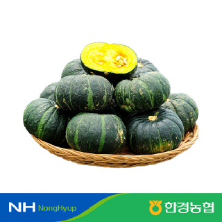 (농할13,520원)[한경농협] 제주 밤호박(단호박) 5kg(15~23개내외) 소과 