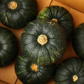 [6월25일 순차출고] 이제주 보우짱 단호박 특품 8kg(실중량)