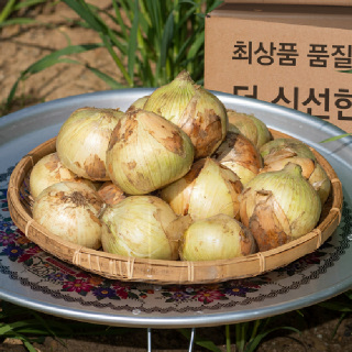 [대한민국농수산] 국내산 창녕 특품 양파 햇양파(3/5kg)