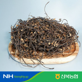 [신북농협 Peak!]★氣영암 산지직송 25년.26년건고사리 100g-300g