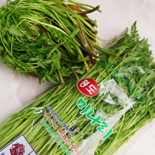 [오늘신선] 당일수확 산지직송 청도 미나리 500g/1kg