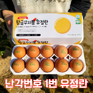 (농할)난각번호1번 프리미엄 유정란 꾸지뽕먹고 자란 방사유정란 계란 대란 20구
