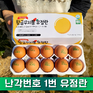 난각번호1번 프리미엄 유정란 꾸지뽕먹고 자란 방사유정란 계란 대란 20구