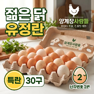 [양계장사람들] 젊은 닭 유정란 난각번호2번 특란 계란 30구