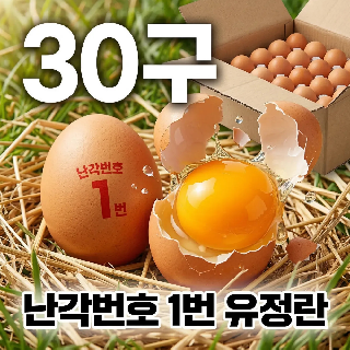 (농할)[양계장사람들] 난각번호1번 유정란 30구 특란(30*1판)