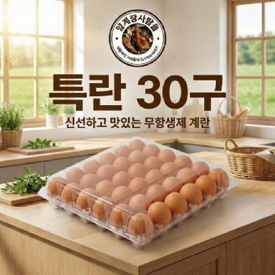 ★8/13 농할초특가 9,900원★[양계장사람들] 무항생제 특란 30구(30*1판)