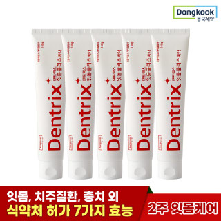 [동국제약] 덴트릭스 잇몸플러스 대용량 치약 160g 5개