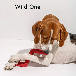 Wild One Bolt Bite 스트로베리 애견 강아지 장난감 천연 고무, 씹는 장난감, 간식 디스펜싱