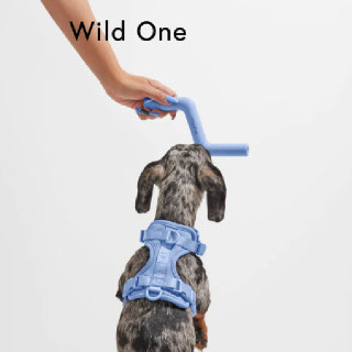 Wild One 볼트비트 몬스톤 애견 강아지 장난감 천연 고무,씹는, 간식 디스펜싱