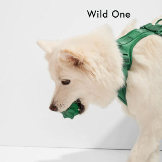 Wild One 트위스트 토스_스프루스 노즈워크 장난감 냉동 잇몸 스트레스 예방 장난감
