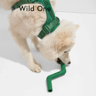Wild One Bolt Bite 스푸루스 애견 강아지 장난감 천연 고무, 씹는 장난감, 간식 디스펜싱