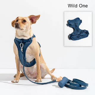 Wild One 사계절,하네스 블루(Blue) 편한착용, 당김,앞섬방지,편한 가슴줄,쿠션,퀵스냅