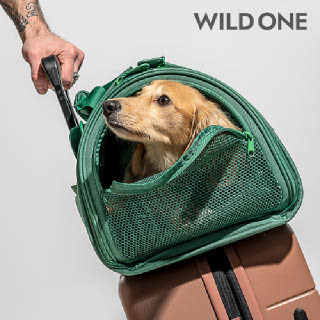 Wild One 애견 항공여행 캐리어 기내용 켄넬 이동가방 이중잠금,여행용품 하우스 이동장